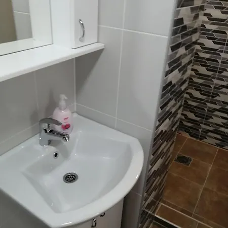 Holiday home Russion House Banja Koviljaca