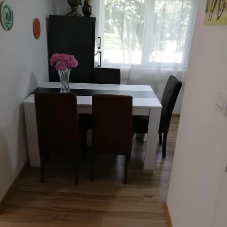 Russion House Banja Koviljaca