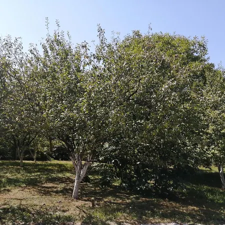 Russion House * Banja Koviljaca