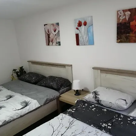 Russion House Holiday home Banja Koviljaca